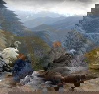 Inside the Greater Blue Mountains World Heritage - A Private Wildlife Safari Overnight - Taree Accommodation