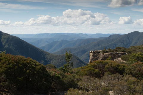 Inside The Greater Blue Mountains World Heritage - A Private Wildlife Safari Overnight - Taree Accommodation 5