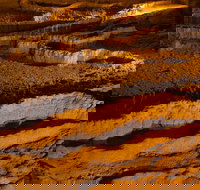 From the Mountains to the Bay - 4 Day Rediscovery Private Tour - Taree Accommodation