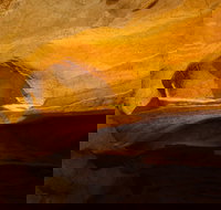 From the Mountains to the Bay - 4 Day Rediscovery Small Group Tour - Taree Accommodation