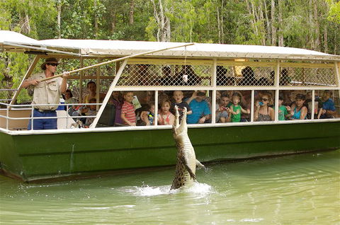 Hartley's Crocodile Adventure Half-Day Tour - Taree Accommodation 0
