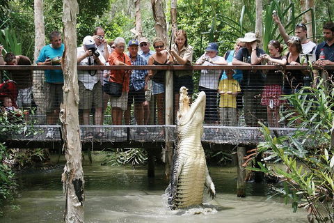 Hartley's Crocodile Adventure Half-Day Tour - Taree Accommodation 1