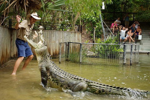 Hartley's Crocodile Adventure Half-Day Tour - Taree Accommodation 2
