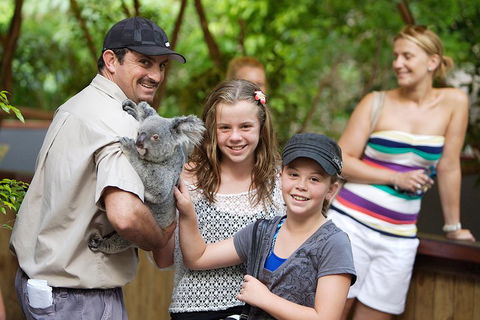 Hartley's Crocodile Adventure Half-Day Tour - Taree Accommodation 3