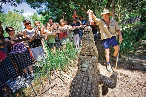 Hartley's Crocodile Adventure Half-Day Tour - Taree Accommodation 4