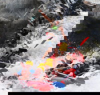 Barron Gorge National Park Half-Day White Water Rafting from Cairns or Port Douglas - Taree Accommodation