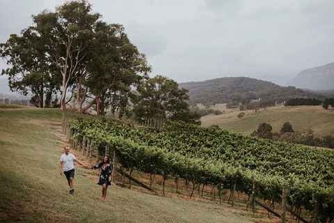 Luxury Blue Mountains Tour With Aussie BBQ Lunch And Wine Tasting - Taree Accommodation 3
