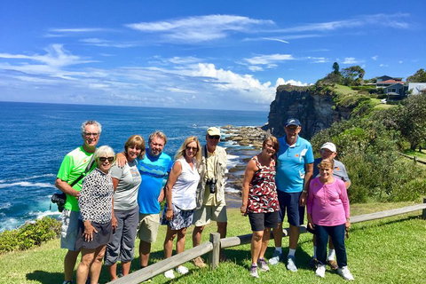 Shore Excursion: Sydney's Northern Beaches & Ku-ring-gai National Park Bus Tour - Taree Accommodation 0