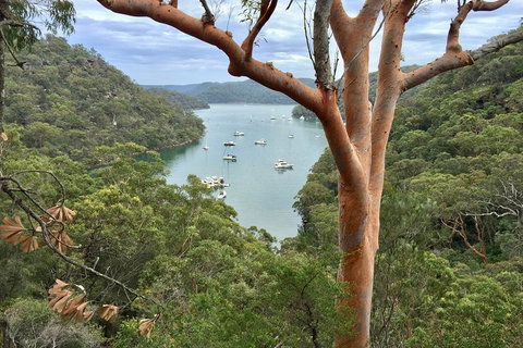 Shore Excursion: Sydney's Northern Beaches & Ku-ring-gai National Park Bus Tour - Taree Accommodation 1