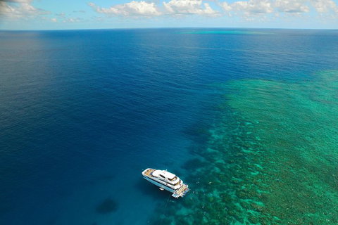 Great Barrier Reef Snorkeling And Diving Cruise From Cairns - Taree Accommodation 4