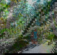 Full Day Cooktown Private Tour - Taree Accommodation