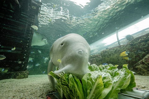 SEA LIFE Sydney Aquarium Entrance Ticket - Taree Accommodation 2