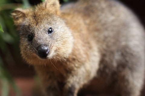 WILD LIFE Sydney Entrance Ticket - Taree Accommodation 4