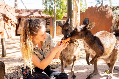 WILD LIFE Sydney Entrance Ticket - Taree Accommodation 5