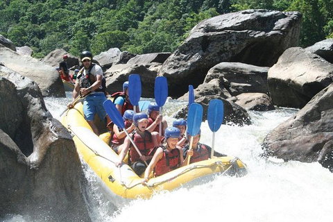 Barron River Half-Day White Water Rafting From Cairns - Taree Accommodation 3
