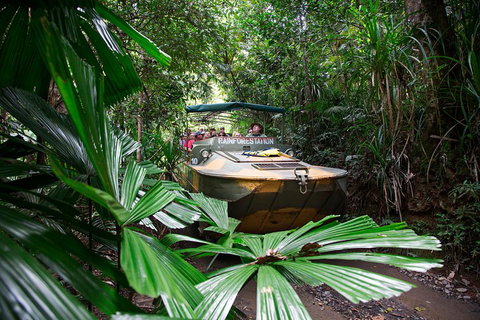 Classic Kuranda By Skyrail And Scenic Railway Including Rainforestation, Koala And Wildlife Park And Pamagirri Aboriginal Experi - Taree Accommodation 4