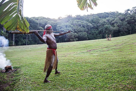 Classic Kuranda By Skyrail And Scenic Railway Including Rainforestation, Koala And Wildlife Park And Pamagirri Aboriginal Experi - Taree Accommodation 5