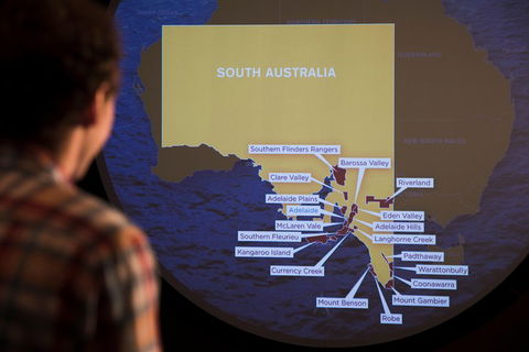 Australian Wine Discovery Tour With Tastings - Taree Accommodation 3