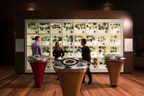 Australian Wine Discovery Tour With Tastings - Taree Accommodation 4