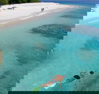 Fitzroy Island Day Trip from Cairns - Taree Accommodation