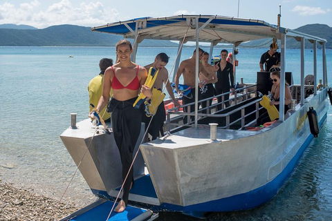 Fitzroy Island Day Trip From Cairns - Taree Accommodation 5