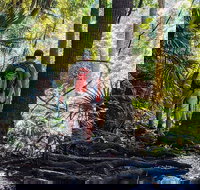 Hike to the Figure Eight Pools - Taree Accommodation