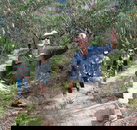 Small-Group Blue Mountains Tour with Bush Walks and Featherdale Wildlife Park - Taree Accommodation