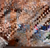 Blue Mountains Private Tour from Sydney with Jenolan Caves - Taree Accommodation