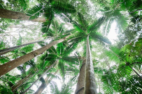 Fraser Explorer K'gari 2-Day Tour - Taree Accommodation 2