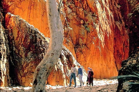 West MacDonnell Ranges Day Trip From Alice Springs - Taree Accommodation 3