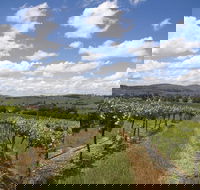 Hunter Valley Wine Tour from Sydney incl Lunch Cheese Chocolate and Distillery - Taree Accommodation