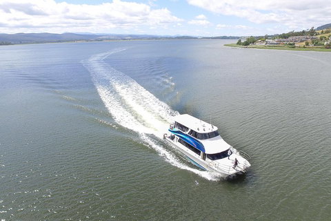 2.5 Hour Morning Discovery Cruise Including Sailing Into The Cataract Gorge - Taree Accommodation 2