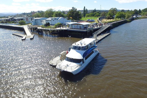 2.5 Hour Morning Discovery Cruise Including Sailing Into The Cataract Gorge - Taree Accommodation 3