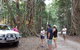 Great Beach Drive 4WD Tour - Private Charter From Noosa To Rainbow Beach - thumb 1