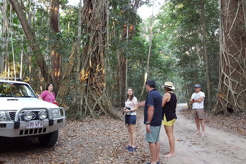 Great Beach Drive 4WD Tour - Private Charter From Noosa To Rainbow Beach - Taree Accommodation 1
