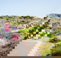 Margaret River Coastal and Wildlife Eco Trip from Busselton or Dunsborough - Taree Accommodation