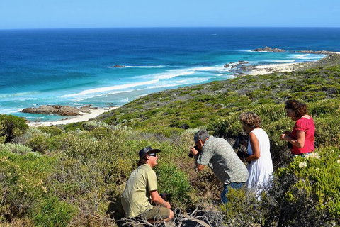 Margaret River Coastal And Wildlife Eco Trip From Busselton Or Dunsborough - Taree Accommodation 2